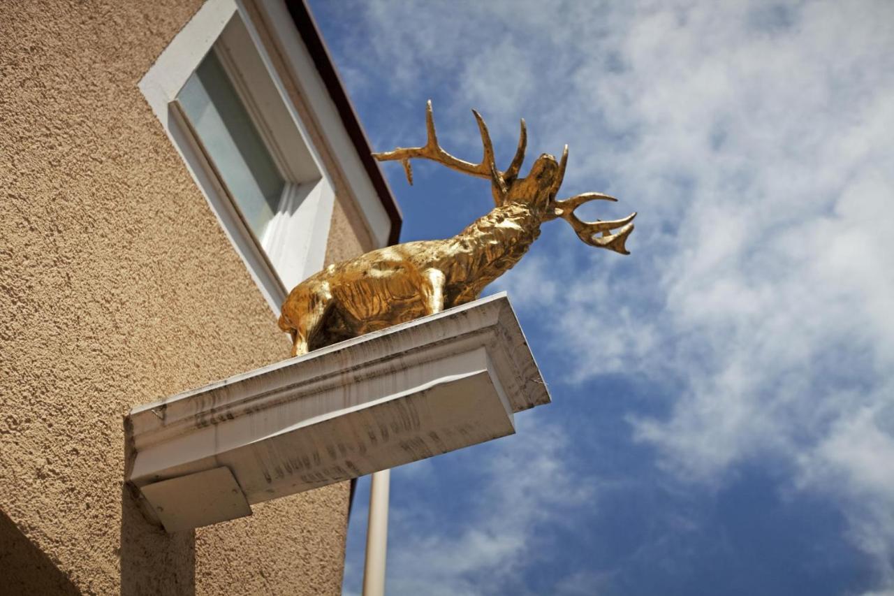 Hotel Hirsch Leonberg Eksteriør billede